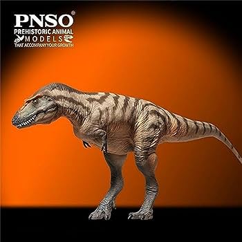 Amazon | PNSO 成長シリーズ 71 ゴルゴサウルス 肉食 恐竜